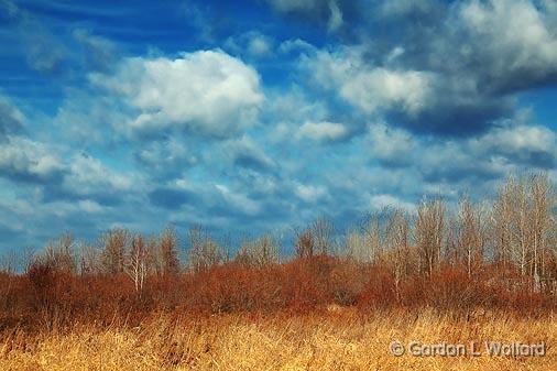 Scrub_10851.jpg - Photographed at Ottawa, Ontario - the capital of Canada.