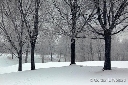 Snowscape_12734.jpg - Photographed at Ottawa, Ontario - the capital of Canada.