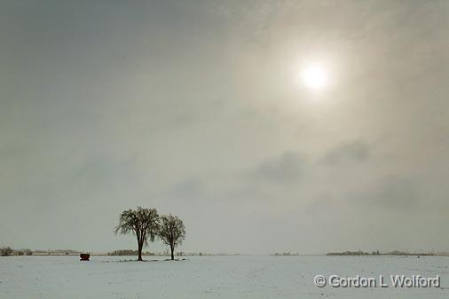 Snowscape_14092.jpg - Photographed at Ottawa, Ontario - the capital of Canada.