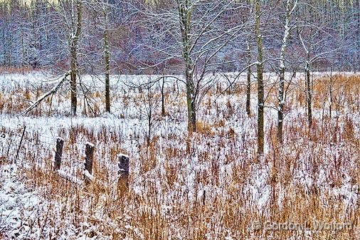 Snowscape_20313.jpg - Photographed near Smiths Falls, Ontario, Canada.