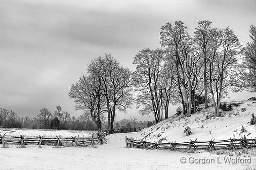 Snowscape_20701.jpg - Photographed near Rideau Ferry, Ontario, Canada.