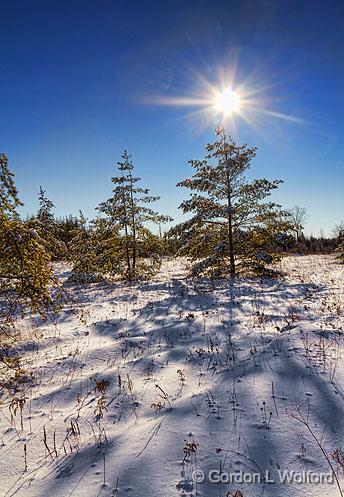 Snowscape_20833.jpg - Photographed near Smiths Falls, Ontario, Canada.