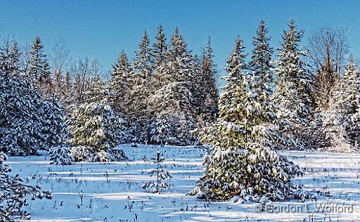 Snowscape_20848.jpg - Photographed near Smiths Falls, Ontario, Canada.