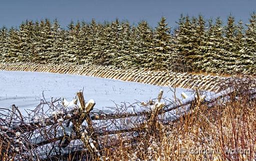 Snowscape_20893-4.jpg - Photographed near Smiths Falls, Ontario, Canada.