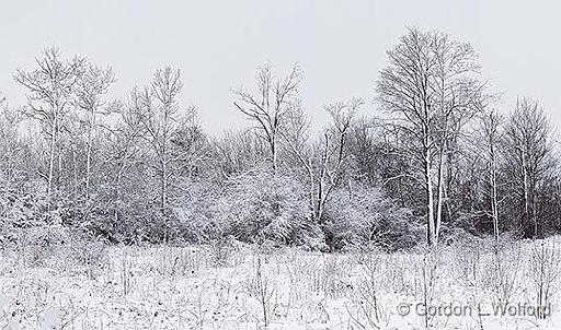 Snowscape_32283-4.jpg - Photographed at Smiths Falls, Ontario, Canada.