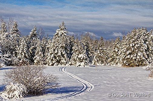 Snowscape_32497.jpg - Photographed near Numogate, Ontario, Canada.