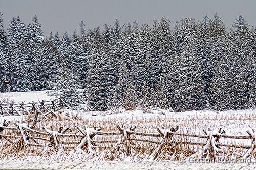 Snowscape_33234.jpg - Photographed near Smiths Falls, Ontario, Canada.