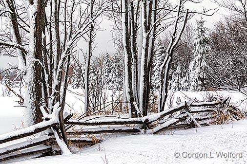 Snowscape_33925.jpg - Photographed near Rosedale, Ontario, Canada.