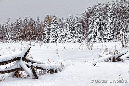 Snowscape_33927-8.jpg - Photographed near Rosedale, Ontario, Canada.