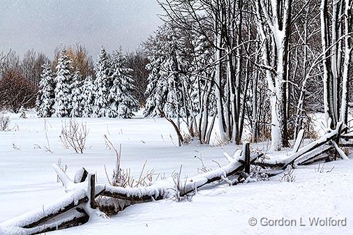 Snowscape_33930.jpg - Photographed near Rosedale, Ontario, Canada.