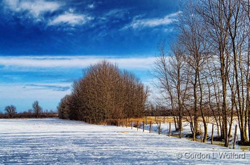 Snowscape_DSCF03877.jpg - Photographed near Smiths Falls, Ontario, Canada.