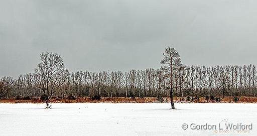 Snowscape_P1230750-2.jpg - Photographed at Smiths Falls, Ontario, Canada.