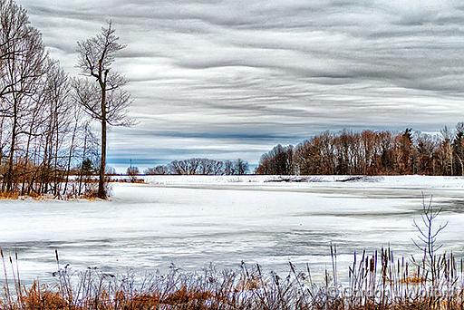 Winterscape_P1020267-9.jpg - Photographed near Rideau Ferry, Ontario, Canada.