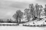 Snowscape_20701