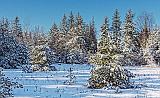 Snowscape_20848