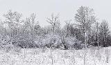 Snowscape_32283-4