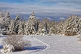 Snowscape_32497