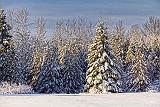 Snowscape_32500