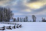 Snowscape_32594