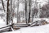 Snowscape_33925