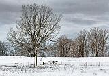 Snowscape_33938