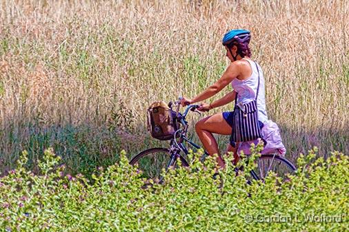 Cyclist_27704.jpg - Cyclist on the Capital Pathway, also known informally as the The Bike Path, is a 220-kilometre (140 mi) recreational pathway interlinking many parks, waterways and sites in Ottawa, Ontario and Gatineau, Quebec.Photographed along the Ottawa River Parkway at Ottawa, Ontario, Canada.