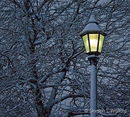 Parklamp_23382.jpg - Photographed along the Rideau Canal Waterway at Smiths Falls, Ontario, Canada.