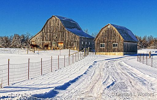 Snowscape_20823.jpg - Photographed near Smiths Falls, Ontario, Canada.