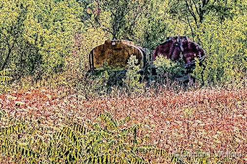 Overgrown-Tankers_01465.jpg - Photographed near Jasper, Ontario, Canada.