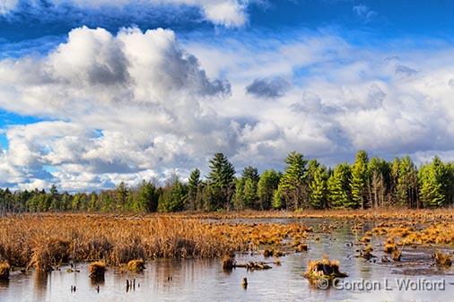 Marsh_30491.jpg - Photographed near Portland, Ontario, Canada.