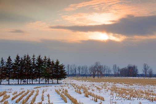 Snowscape_13559-60.jpg - Photographed at Ottawa, Ontario - the capital of Canada.