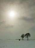 Snowscape_14089