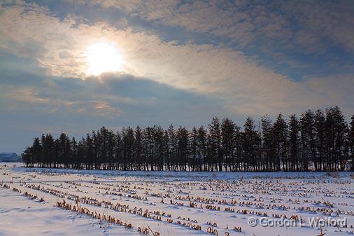 Snowscape_12663.jpg - Photographed at Ottawa, Ontario - the capital of Canada.