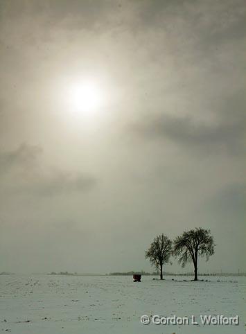 Snowscape_14089.jpg - Photographed at Ottawa, Ontario - the capital of Canada.