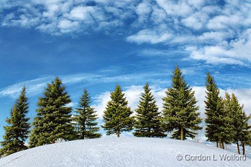 Snowscape_14318.jpg - Photographed at Ottawa, Ontario - the capital of Canada.