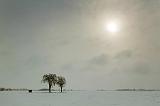 Snowscape_14092