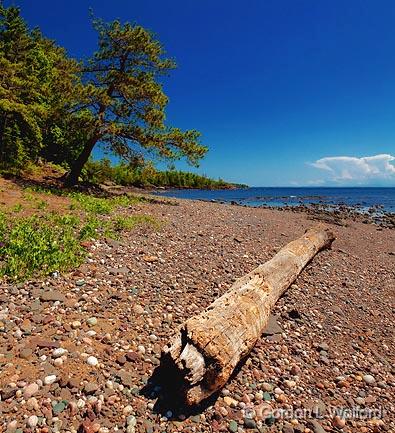 Standing-Fallen_01632-3.jpg - Photographed on the north shore of Lake Superior in Ontario, Canada.