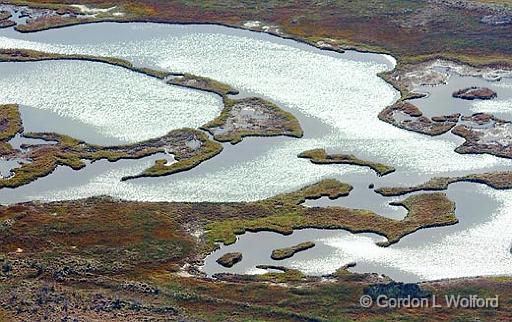 Wetlands_29908.jpg - Photographed along the Gulf coast near Port Lavaca, Texas, USA.