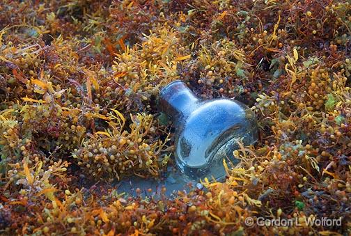 Beachcombing_42380.jpg - Photographed along the Gulf coast on Mustang Island near Corpus Christi, Texas, USA.